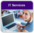 IT Services jobs